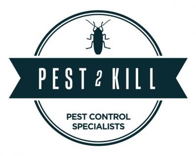 photo of Pest2Kill - The Best Guide to Get Exceptional Pest Control Services