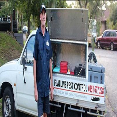 photo of Flatline Pest Control- Pest Control Ettalong Beach