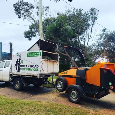photo of Ocean Road Tree Services