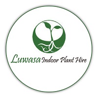 photo of Luwasa Indoor Plant Hire