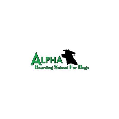 photo of Alpha Boarding School For Dogs