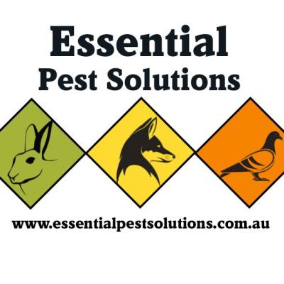 photo of Essential Pest Solutions - Pest Control Geelong