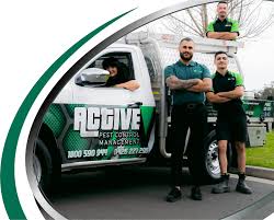 photo of Active Pest Control Management