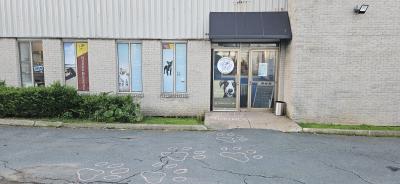 photo of Happy Hounds Doggy Daycare | Pet Boarding Halifax