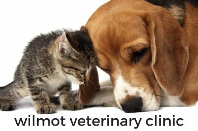 photo of Wilmot Veterinary Clinic
