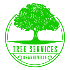 photo of Orangeville Tree Service