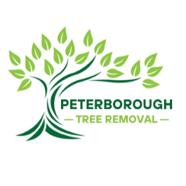 photo of Peterborough Tree Removal