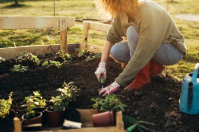 photo of Emerald Grove Landscaping