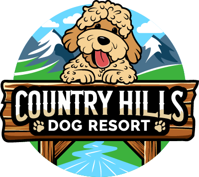 photo of Country Hills Dog Resort