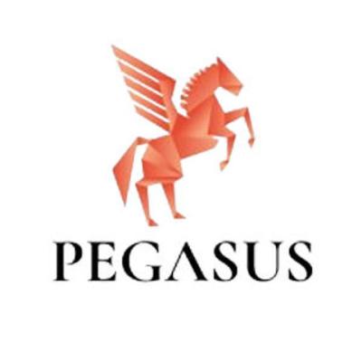 photo of Pegasus Funding