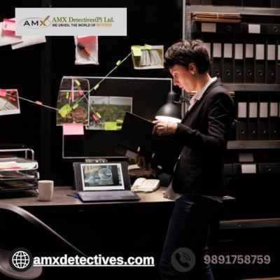 photo of AMX DETECTIVE SERVICE