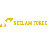 photo of Neelam Forge India