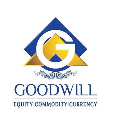 Best broker Goodwill wealth Management