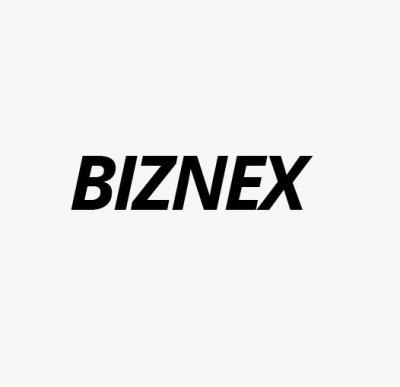 photo of BizneX