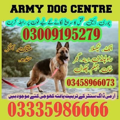 army dog center faisalabad