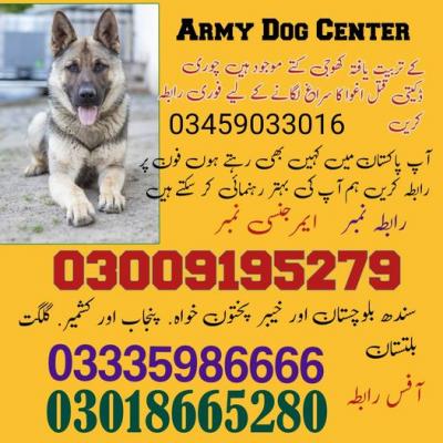 photo of Army Dog Center Sargodha