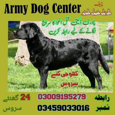 photo of Army Dog Center Chakwal 03009195279