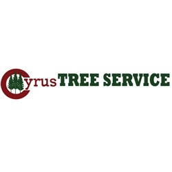 photo of Cyrus Tree Service