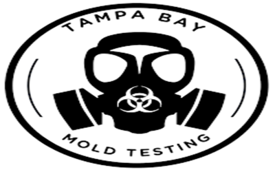 photo of Tampa Bay Mold Testing