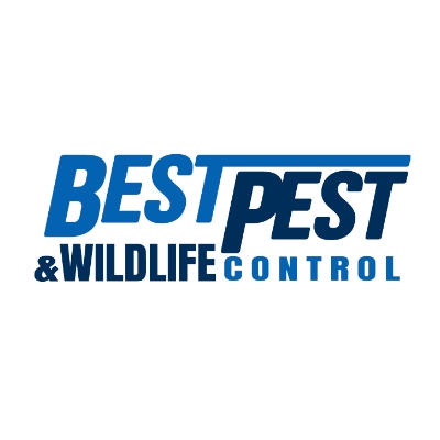 photo of Best Pest & Wildlife Control