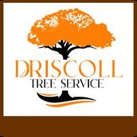 photo of Driscoll Tree Service