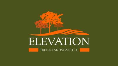 photo of Elevation Tree and Landscape Co.