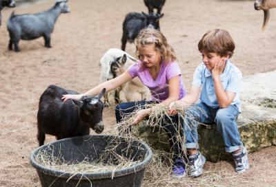 photo of Austin Petting Zoo and Shows