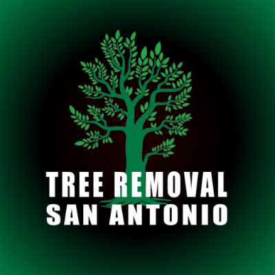 photo of Tree Removal San Antonio