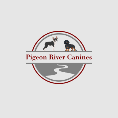 photo of Pigeon River Canines