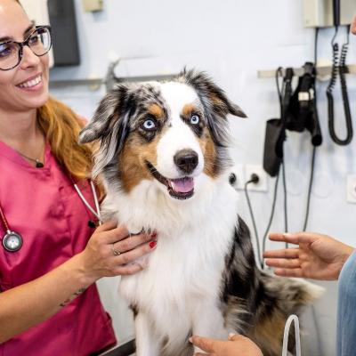 photo of Old Dominion Animal Health Center