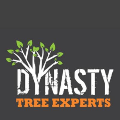 Dynasty Tree Experts