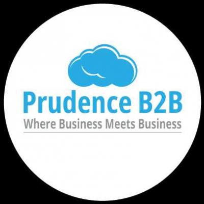 Prudence B2B Logo