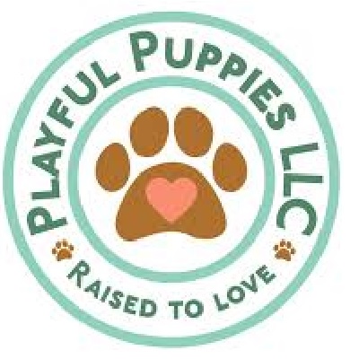 photo of Playful Puppies LLC