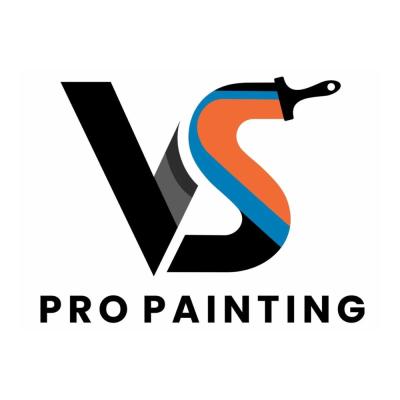 photo of VS Pro Painting