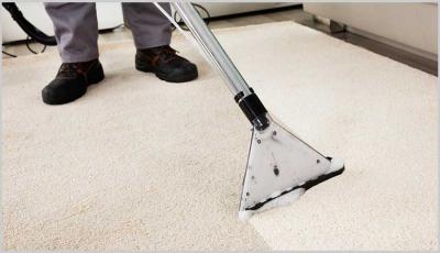 photo of Show Off Carpet Cleaning