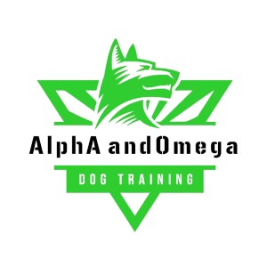 photo of Alpha And Omega Dog Training