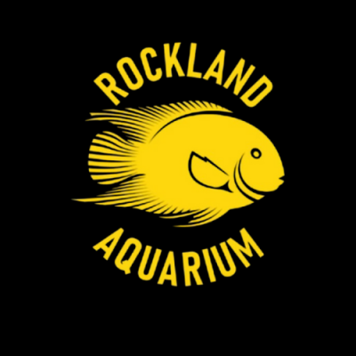 photo of Rockland Aquarium