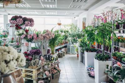 photo of Enchanted Florist of Tampa