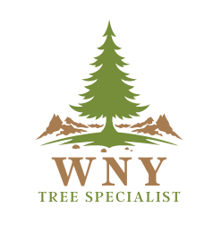 photo of WNY Tree Specialists