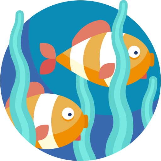 photo of Fish World